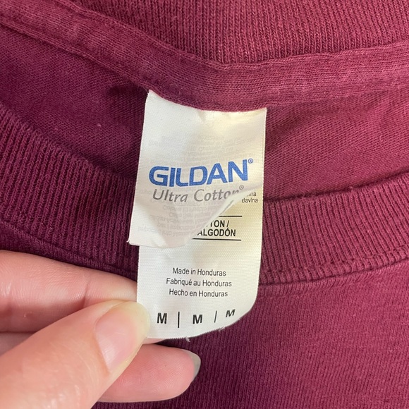 Panic! At The Disco Gildan Maroon and Blue Long Sleeve T-Shirt, Size Medium - Picture 4 of 5